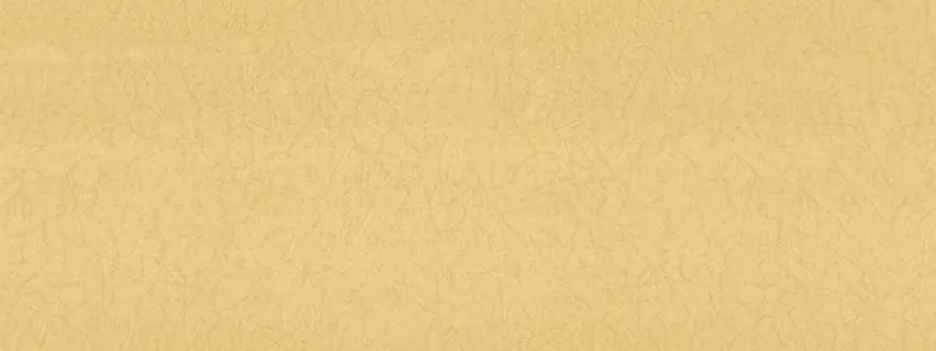 唯品会背景图高清