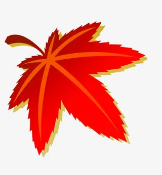 秋天的枫叶免抠