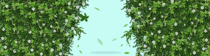 清新花草背景高清