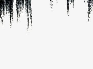 手绘水墨中国风柳树免抠