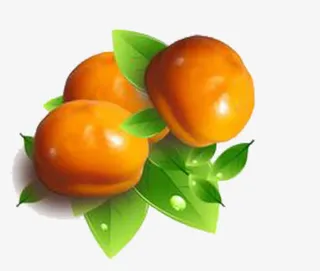 柿子图案素材免抠素材免抠