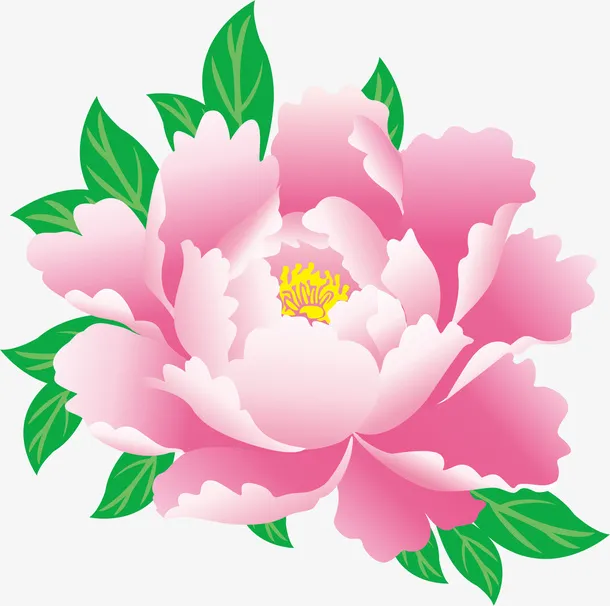 牡丹花免扣元素免抠