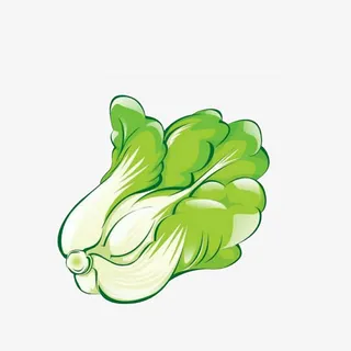 手绘新鲜大白菜素材免抠