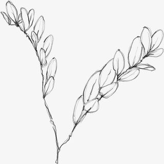 水墨花朵元素65免抠