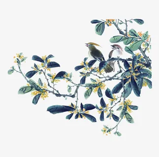 古风彩色树鸟免抠