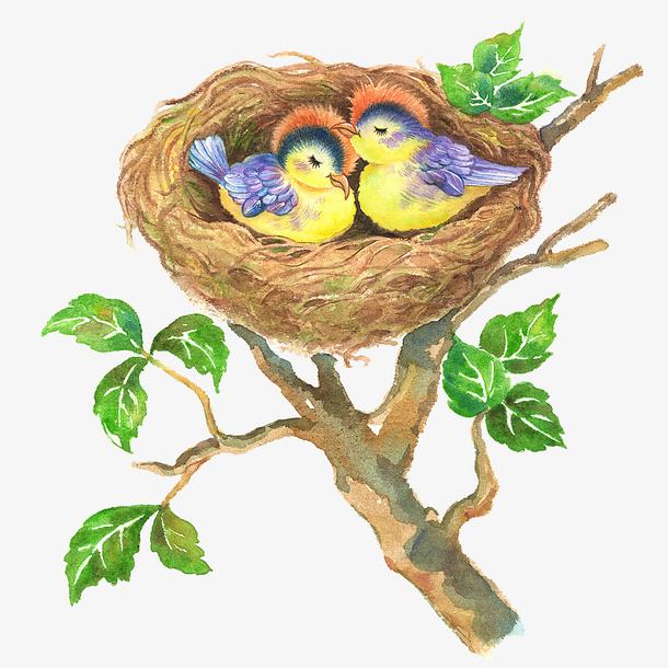 手绘插图树上的鸟窝免抠