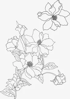 矢量简笔花卉免抠