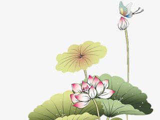 水墨荷花荷叶蝴蝶装饰元素免抠