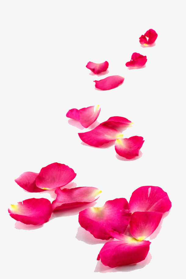 花瓣免抠