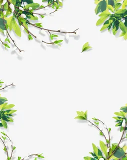 花枝花卉装饰图案免抠 花枝花卉装饰图案免抠