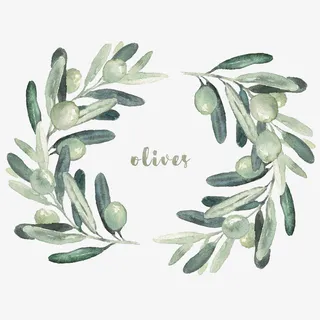 手绘水彩绿色橄榄枝花环设计免抠免抠