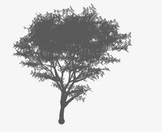 中国风水墨画的树免抠