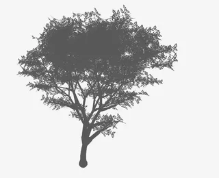 中国风水墨画的树免抠