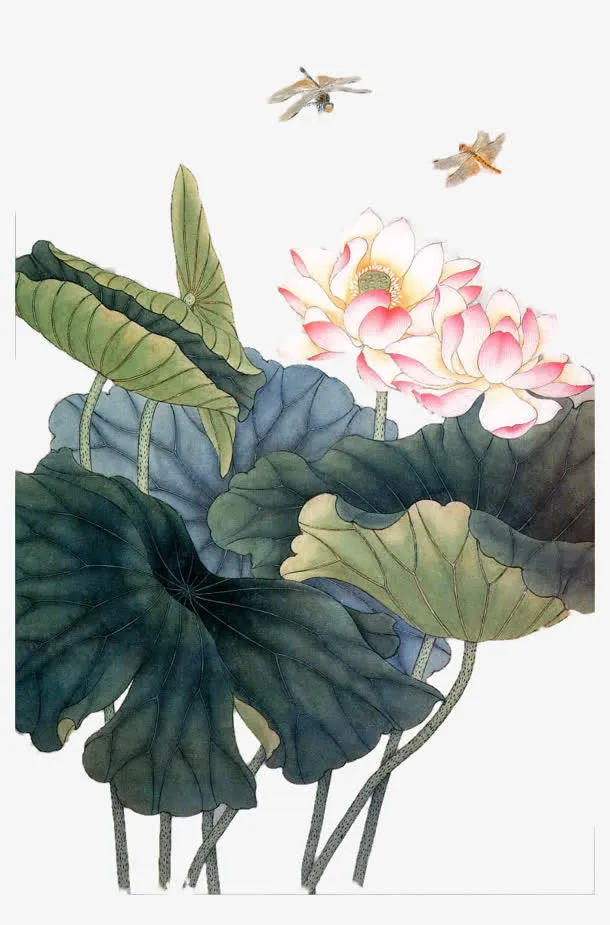 蜻蜓荷塘莲花国画免抠