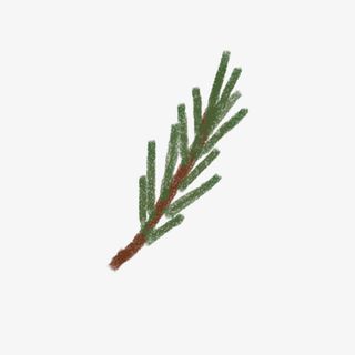 圣诞节的松树枝免抠