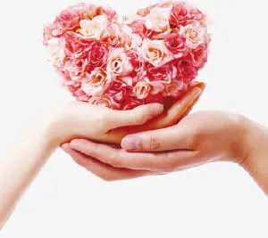 母亲节装饰元素免抠