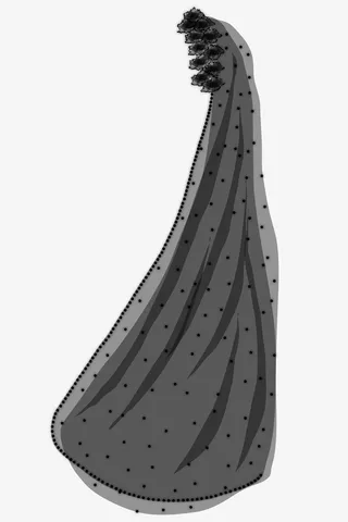 头纱头饰婚纱免抠