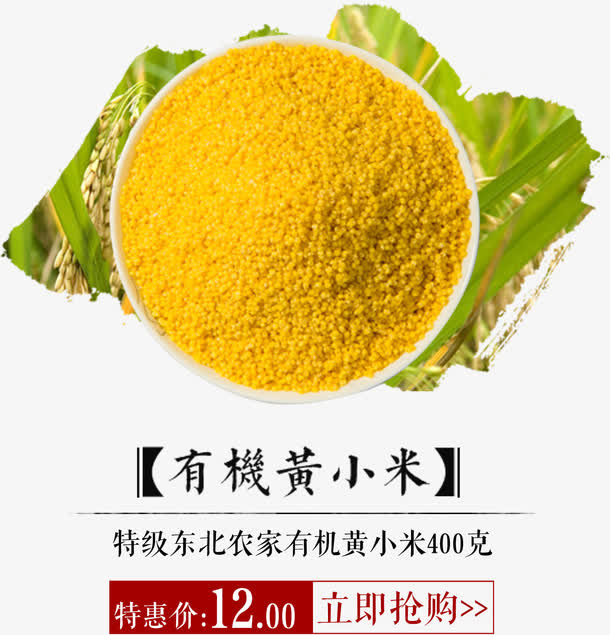 黄小米免抠