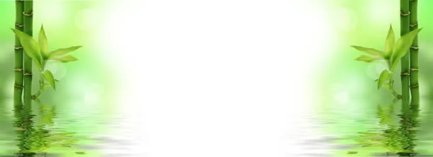 富贵竹简约淘宝海报背景banner