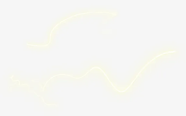 霓虹线条免抠