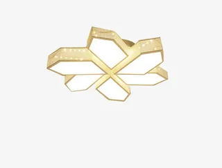 金色花瓣吸顶灯PNG免抠