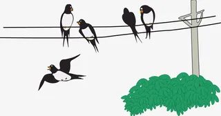 矢量一群燕子春天清明节素材免免抠