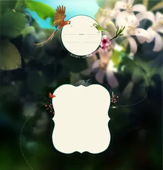 鹦鹉热带雨林海报背景七夕情人节