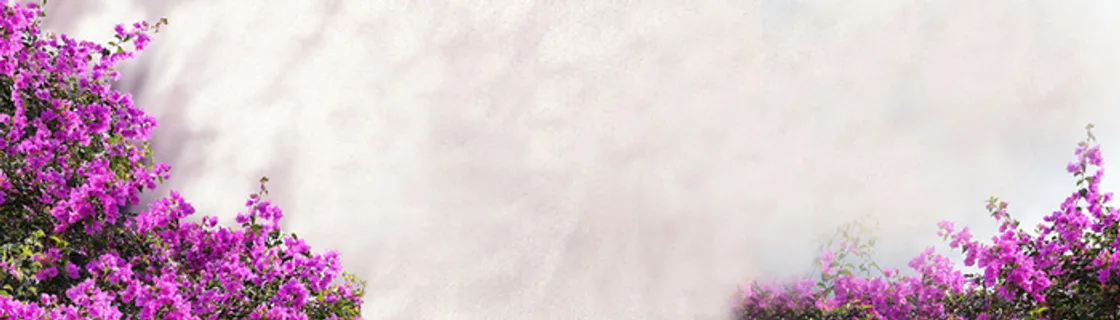 唯美花朵背景海报高清