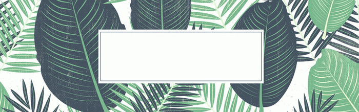 绿色树叶图案背景高清