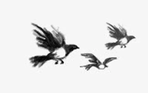 飞翔的小鸟免抠