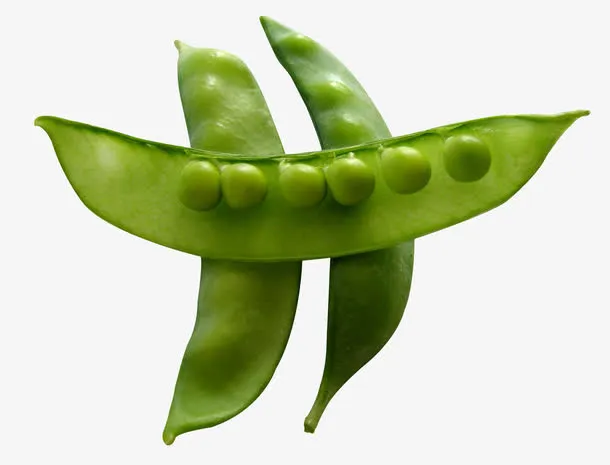 绿色的豌豆免抠
