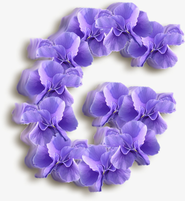 紫色的花免抠