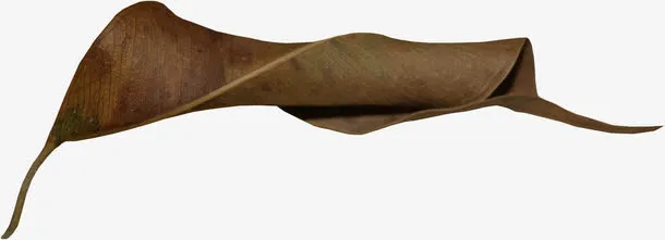 棕色漂亮枯叶免抠