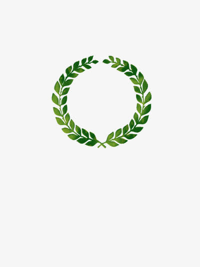 橄榄枝免抠
