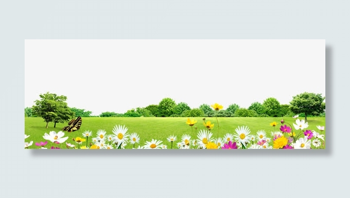花朵绿地装饰边框免抠