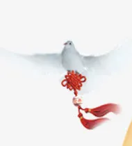 中国风鸽子免抠