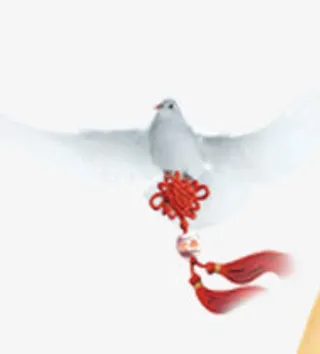 中国风鸽子免抠