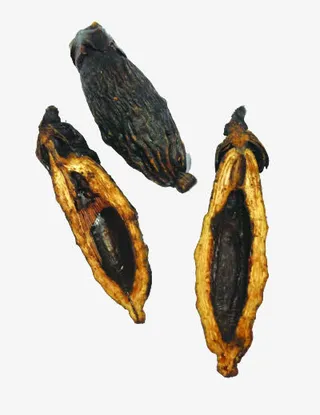 剥开的干槟榔免抠