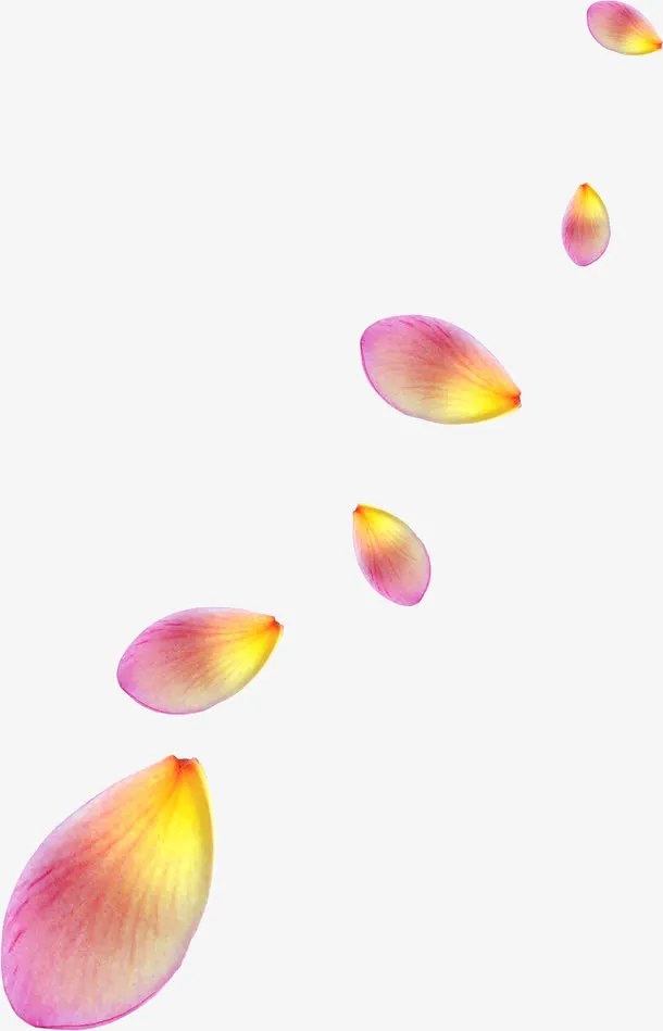 粉色花瓣素材花瓣背景