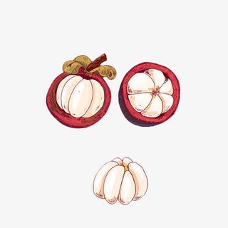 卡通手绘美味的山竹免抠