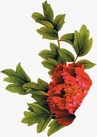 手绘水墨中国风花朵免抠