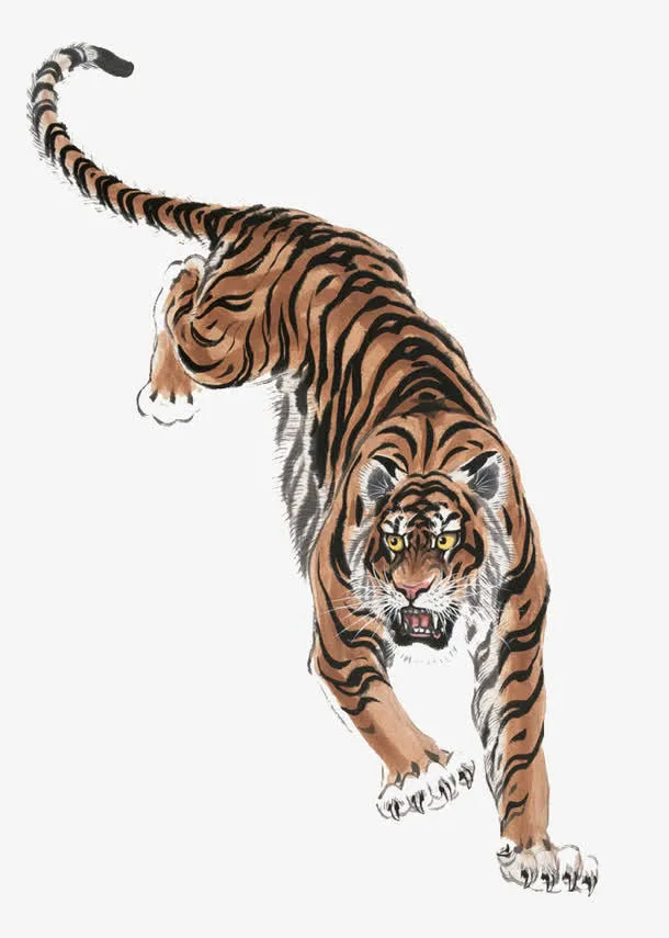 嚎叫的老虎免抠