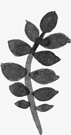 墨迹树叶植物图片免抠