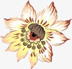 春天黄色古风花朵免抠