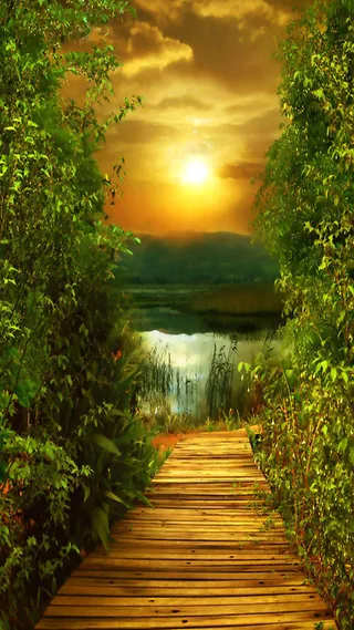 林间小道H5背景素材高清