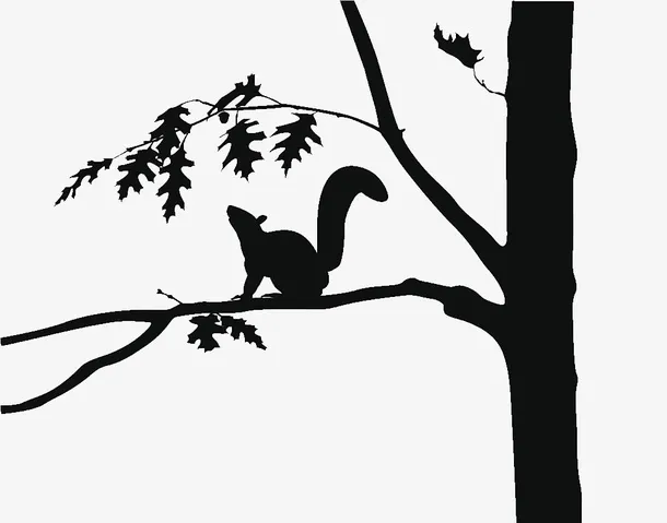 黑白插图小松鼠与树枝免抠