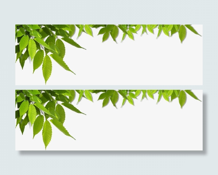 绿色树叶花草装饰免抠