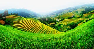 美丽的梯田美景免抠