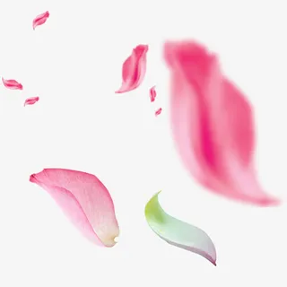花瓣粉红花瓣模糊运动特效漂浮免抠