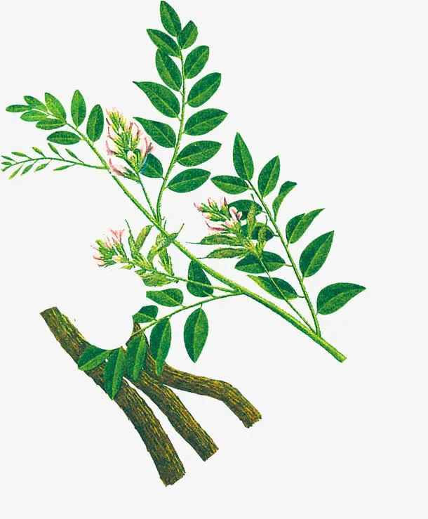 绿色元素免抠
